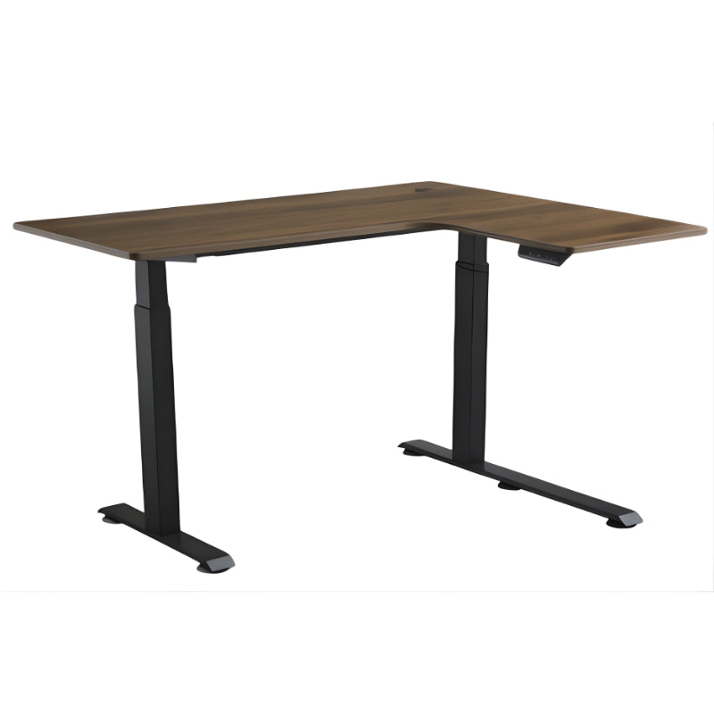 電動升降辦公桌,雙人背靠背設計,白色桌面配黑色隱私隔板與可調高度柱腳,適合開放式辦公環境 Dual back-to-back electric height adjustable standing desk with white tabletop, black privacy divider, and adjustable legs for shared office spaces