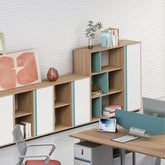 office interior design furniture cabinet wooden file 辦公室 家具 儲物櫃 文件櫃 資料櫃 簡約 趟門 設計 收納櫃 組合櫃 木製櫃