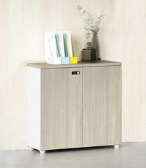 office interior design furniture cabinet wooden file 辦公室 家具 儲物櫃 文件櫃 資料櫃 簡約 趟門 設計 收納櫃 組合櫃 木製櫃
