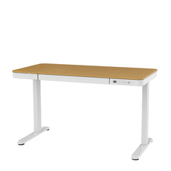 升降檯 電動 鋼架 簡便多用途 electric adjustable standing desk