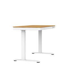 升降檯 電動 鋼架 簡便多用途 electric adjustable standing desk