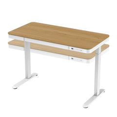 升降檯 電動 鋼架 簡便多用途 electric adjustable standing desk