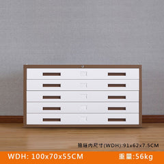 圖紙櫃 drawing cabinet 鋼製圖紙櫃 藍圖 文件 大容量圖紙櫃 多層圖紙