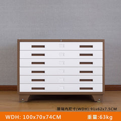 圖紙櫃 drawing cabinet 鋼製圖紙櫃 藍圖 文件 大容量圖紙櫃 多層圖紙