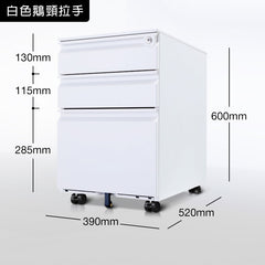 鋼製 活動櫃 文件 儲物櫃 冷軋鋼 層板 有櫃桶 metal steel storage file cabinet