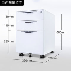 鋼製 活動櫃 文件 儲物櫃 冷軋鋼 層板 有櫃桶 metal steel storage file cabinet