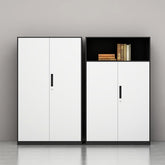 鐵製文件櫃 文件櫃 鐵皮 文件 櫃 現代 大容量 抽屜 掩門 空格