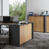 多功能組合櫃 Multi-Function Wood Cabinet 香港辦公室傢俬及設計工程中心 Branding Works Furniture & Office Design