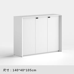 office interior design furniture cabinet wooden file 辦公室 家具 儲物櫃 文件櫃 資料櫃 簡約 設計 收納櫃 組合櫃 木製櫃