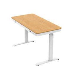 升降檯 電動 鋼架 簡便多用途 electric adjustable standing desk